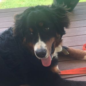 Meet your Posher, Georgia